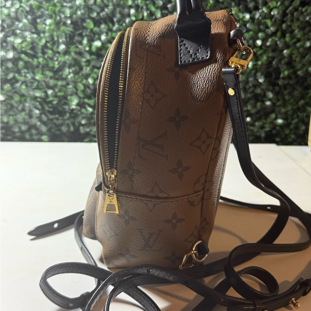 Louis Vuitton LV reverse Monogram Palm Springs Mini - Picture 8 of 16